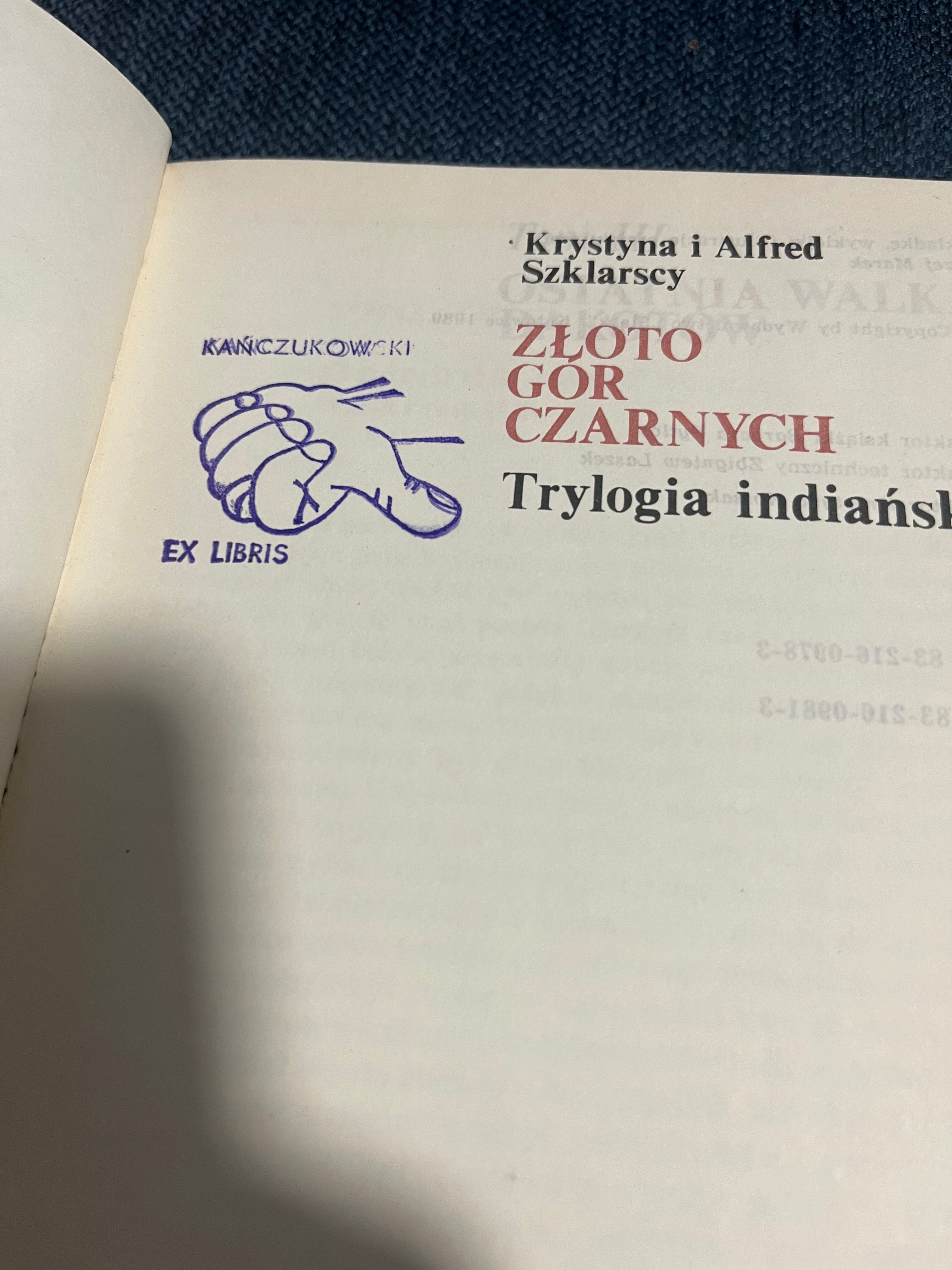 Krystyna i Alfred Szklarscy, Złoto Gór Czarnych, t. 3