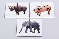 Пазли половинки з AR, Тварини, 9 пазлів від TheaSmart - розвиваюча гра