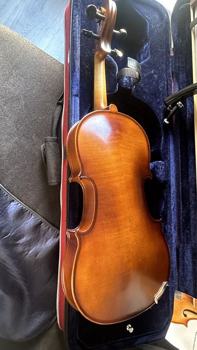 Viola Stentor II Nova