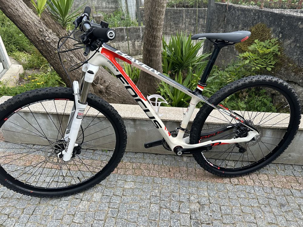 Focus 29 carbono