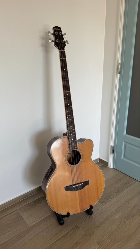 Maison Basse Electro Acoustique Japon