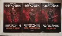 Ostatnie życzenie  Miecz przeznaczenia Krew elfów Sapkowski Wiedźmin
