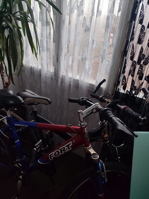 Велосипеди на ходу