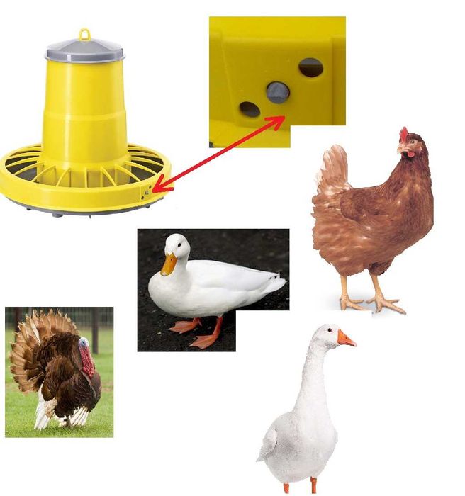 Karmidło dla drobiu 22 Litrów, dla kur, niosek, gęsi ZASYPOWE