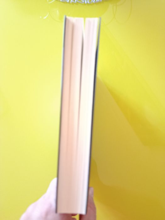 Livro "Primeira Classe" TL Swan