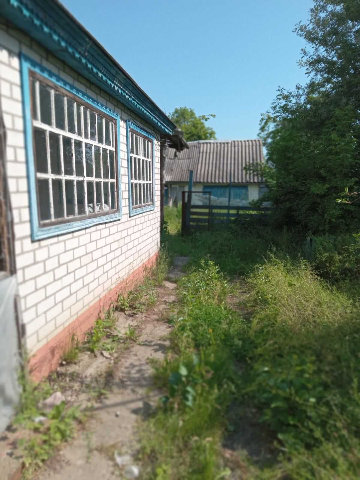 Продам будинок в селі Вереміївка