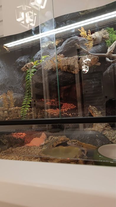 Terrarium 80x40x45