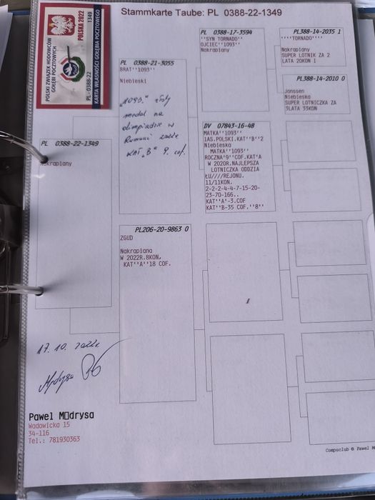 Pocztowe do rozpłodu