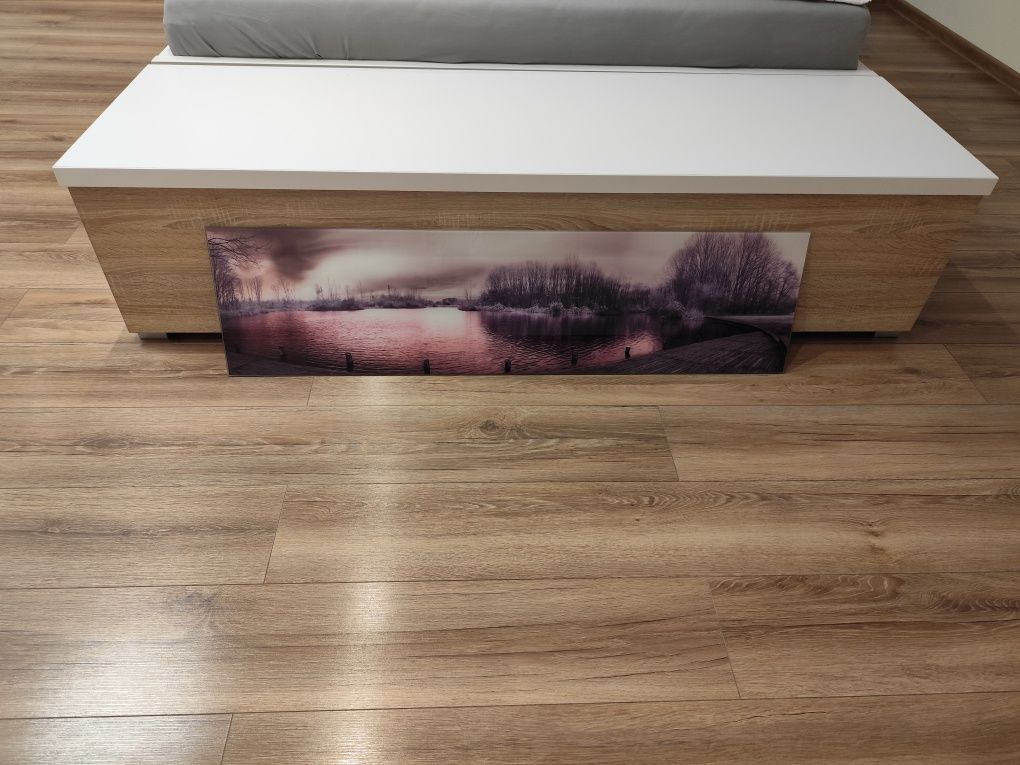 Obraz szklany duży fioletowy liliowy róż 30 x 115