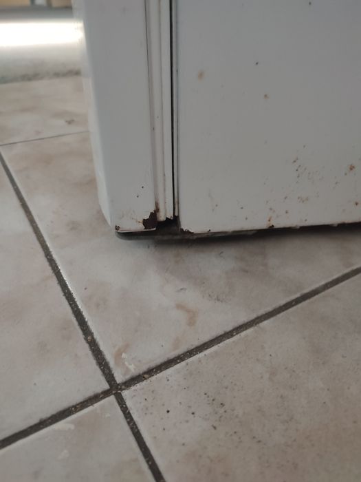 Frigorífico Indesit