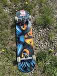 Deskorolka tony hawk