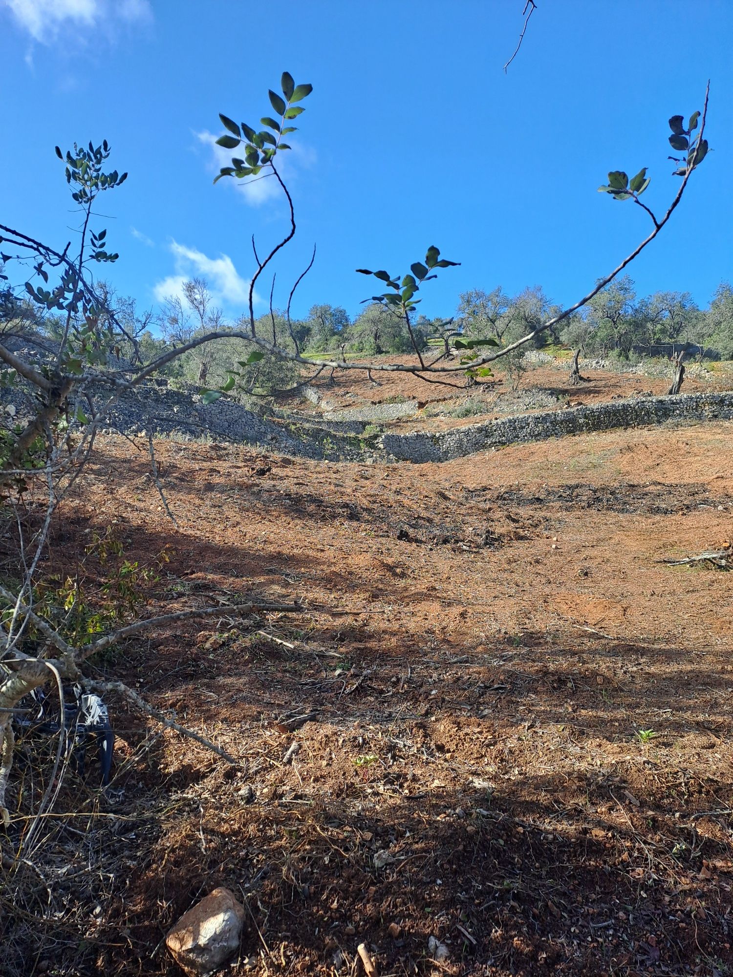 Terreno rustico bem localizado