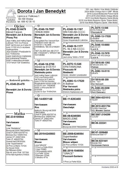 Oryg.Benedykt Jan i Dorota