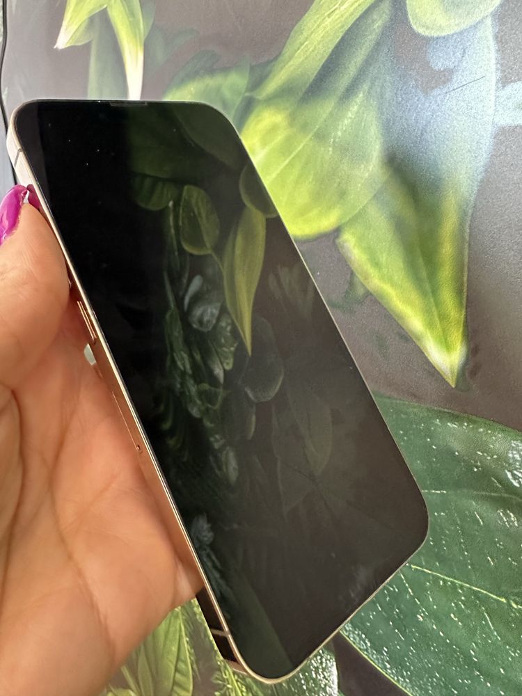 [Guimarães] IPhone 13 Pro