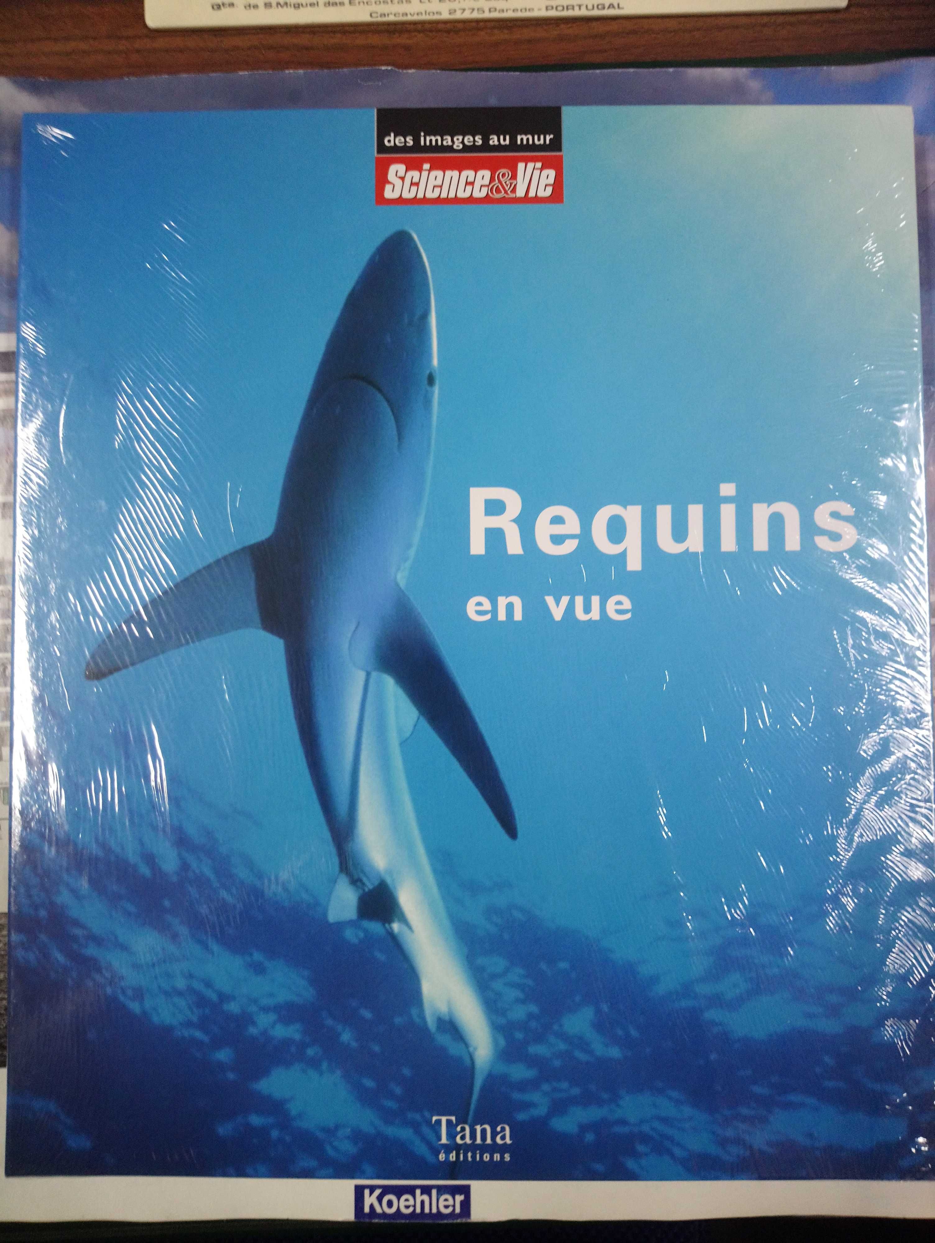 Livro sobre TUBARÕES / SHARK