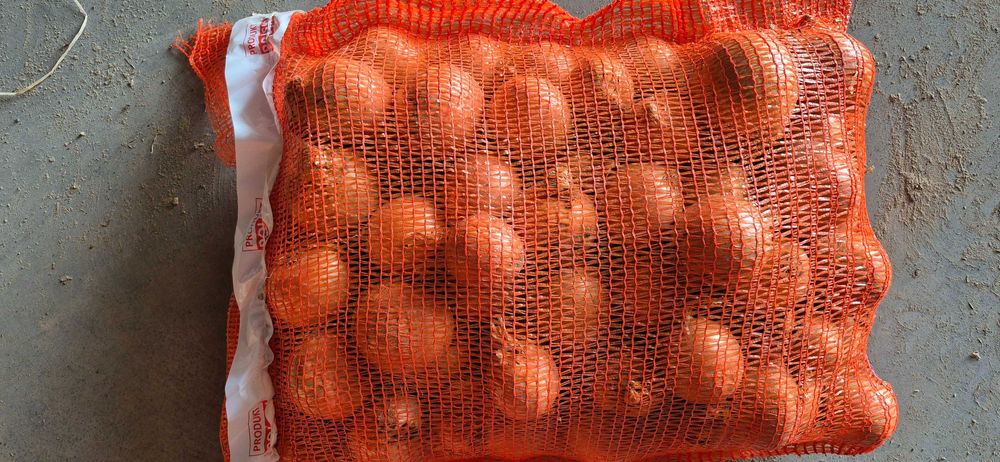 CEBULA żółta, czerwona