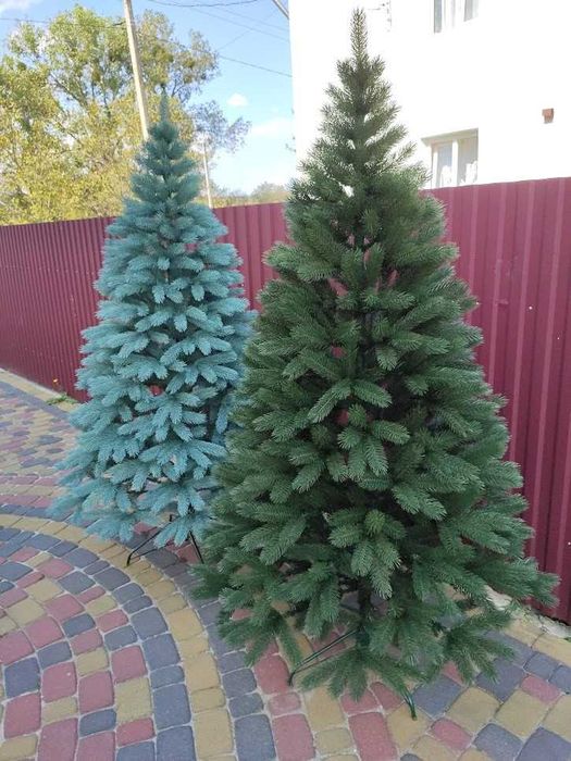 Пишна Ялинка лита Буковельська преміум класу 1.5м-2.5м Зелена Блакитна