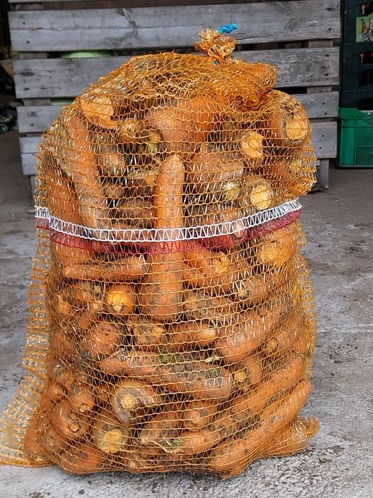 Marchew / burak dla zwierząt worki 25kg odsort