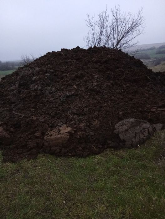 пропоную перегній,гній,добриво.самовивіз