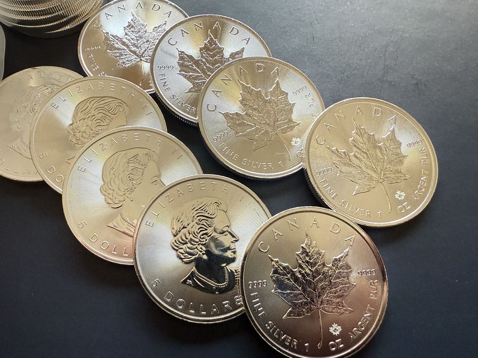 Onça de prata (1 OZ) Maple Leaf prata fina 999,99