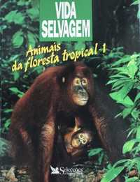 Animais da floresta tropical 1