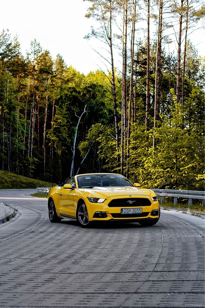 FORD Mustang CABRIO wynajem wypożyczalnia OKAZJA! BEZ KAUCJI