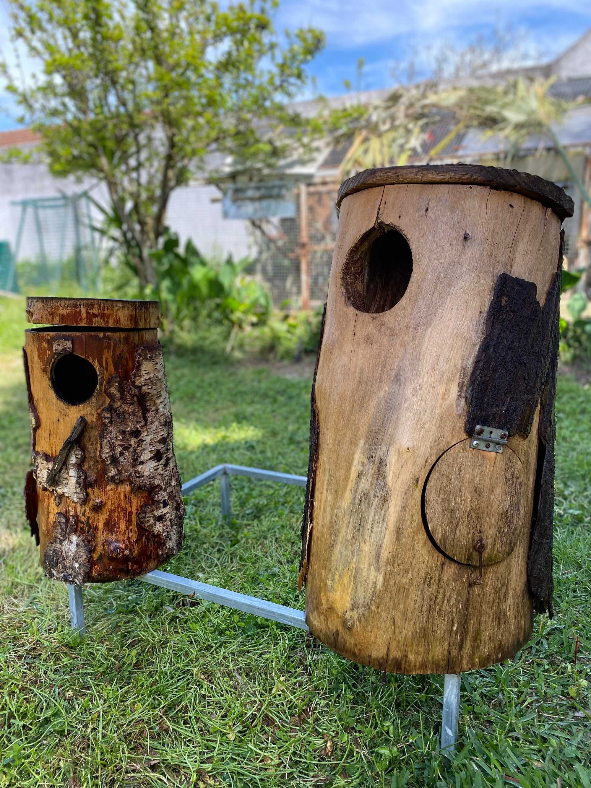 Vendo Ninhos de Troncos de Árvore
