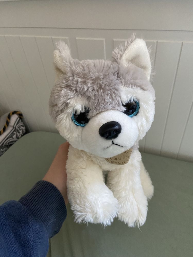 Maskotka piesek husky
