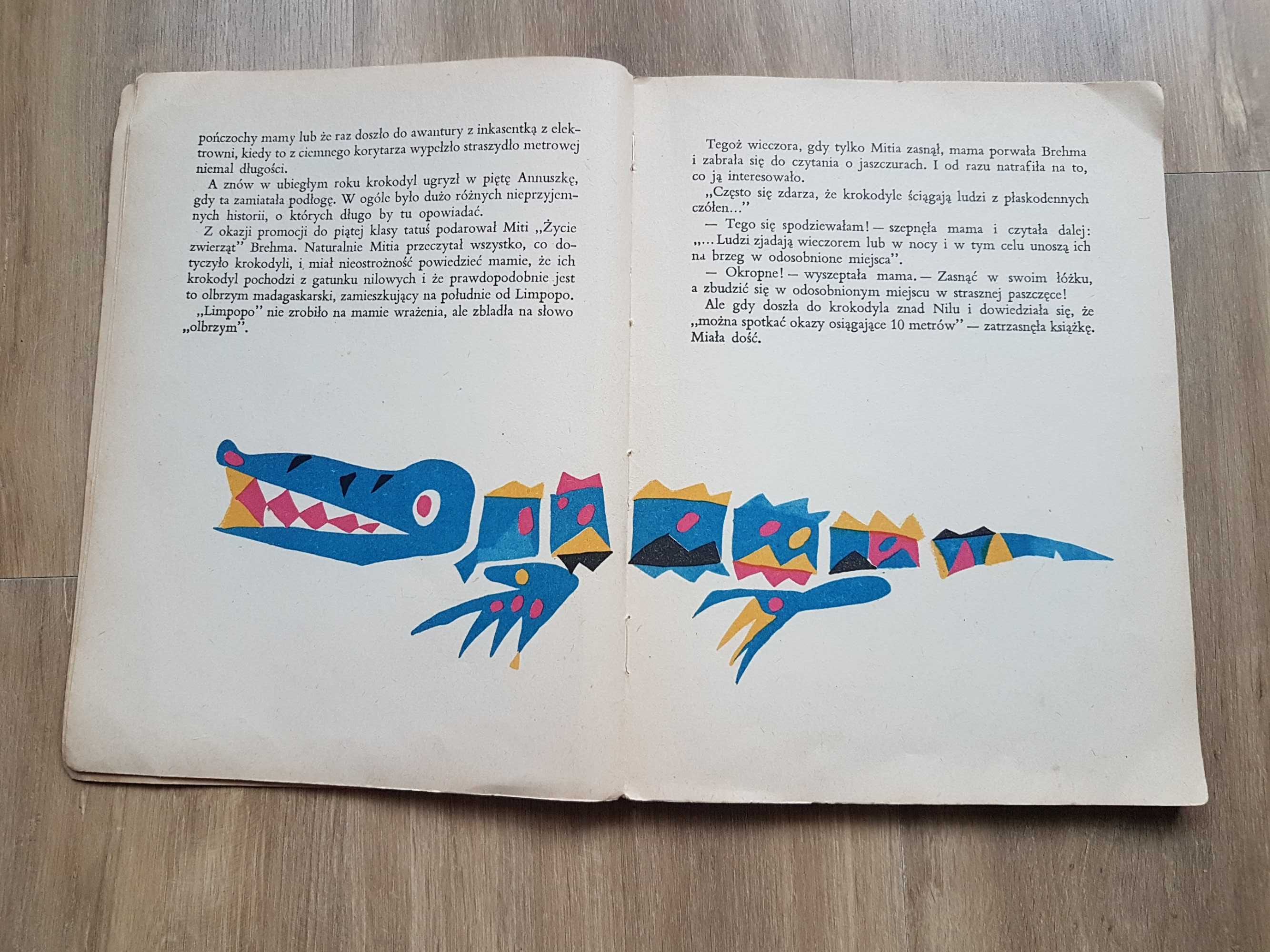 Bajki PRL 1970r Kasia i Krokodyl N. Gernet i G. Jagdfeld