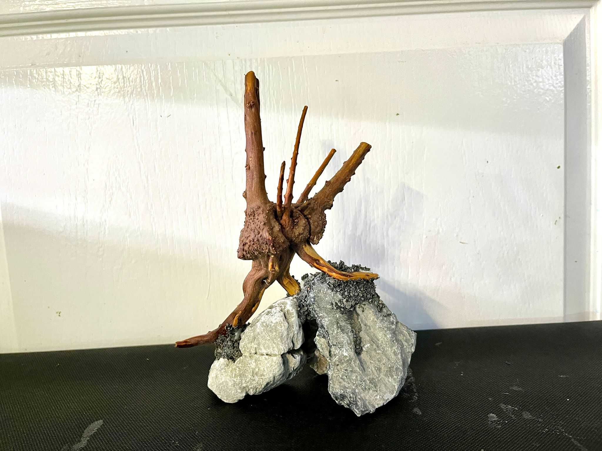 Piękna Aranżacja Do Akwarium Drzewko Bonsai