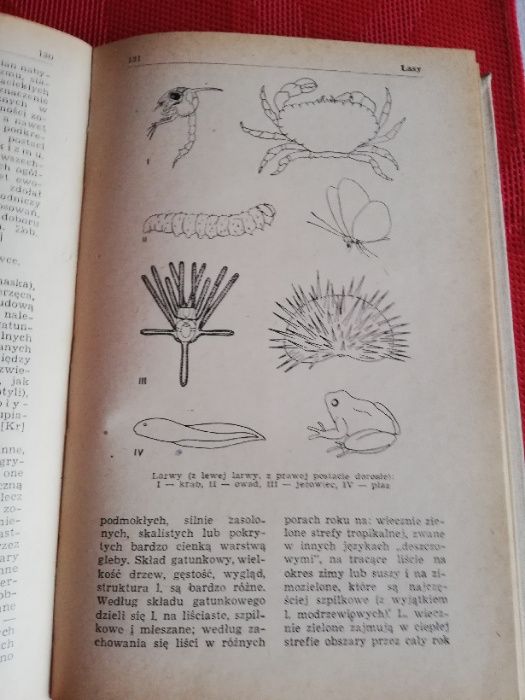 Mały słownik biologiczny - wydanie II rozszerzone
