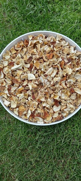 Borowik szlachetny suszony