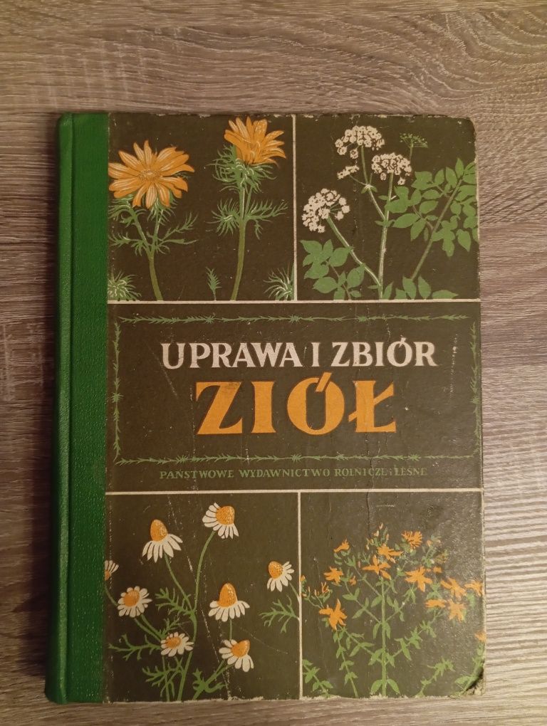 H. Cybulska, H. Janicka - Uprawa i zbiór ziół