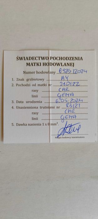 Matki pszczele , unasienione ze sprawdzonym czerwieniem