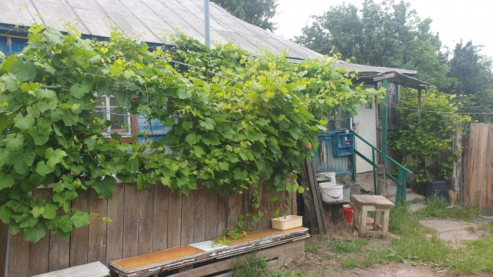 Продам дом в селе Ясногородка (Фастовський район)