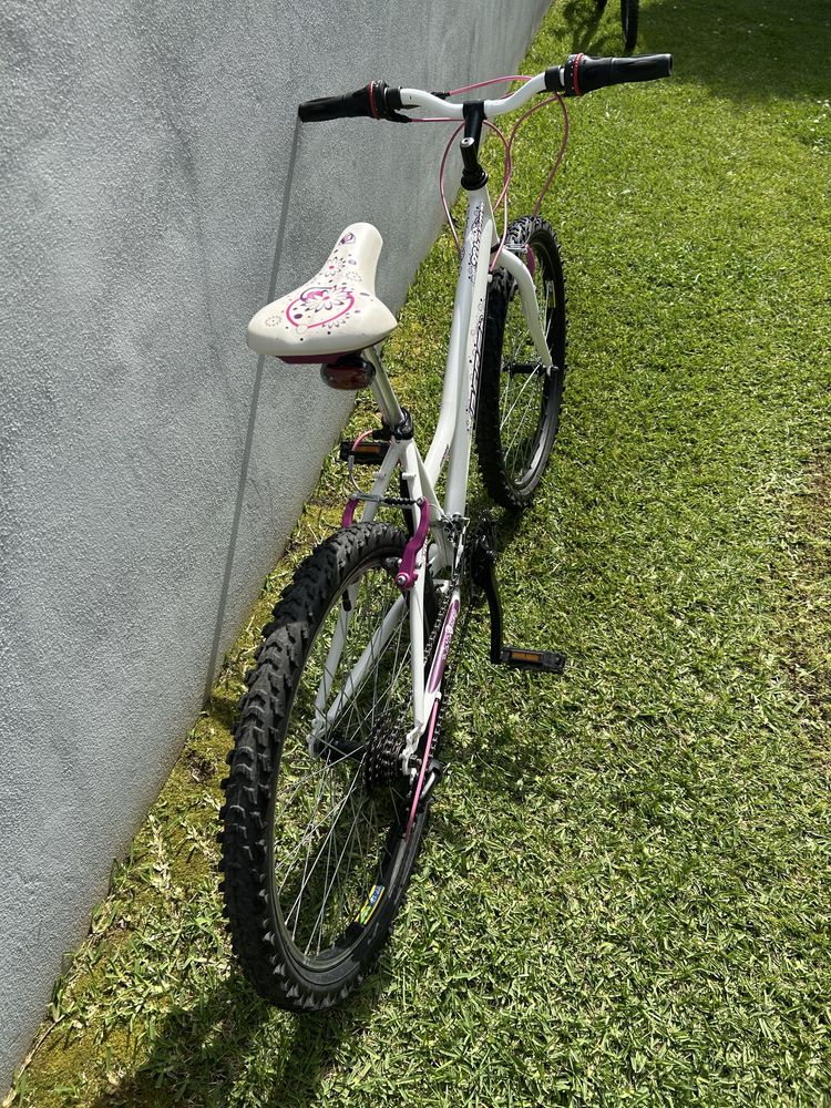 Bicicleta montanha