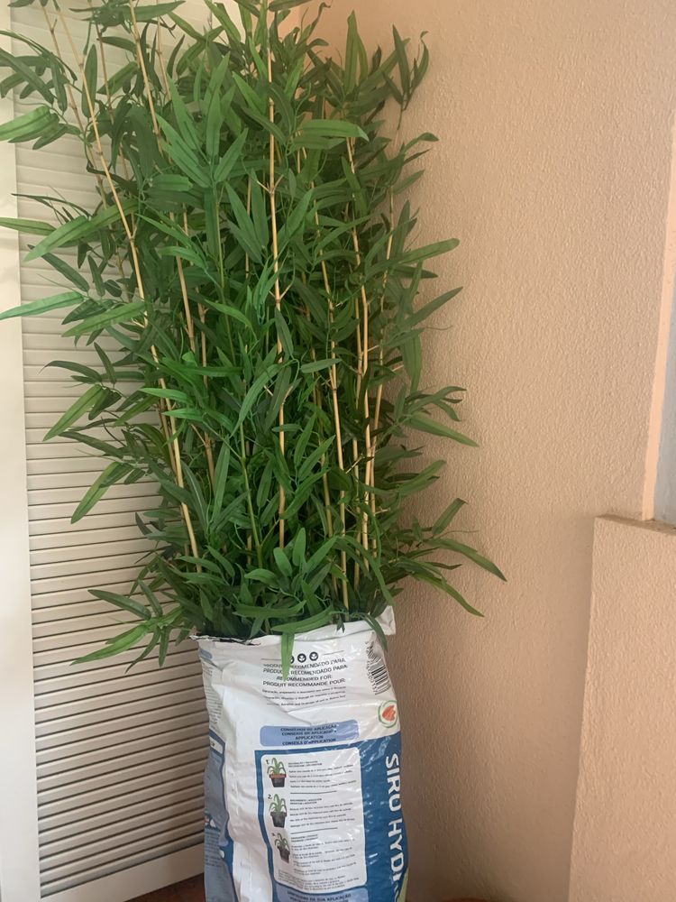 Bambu artificial