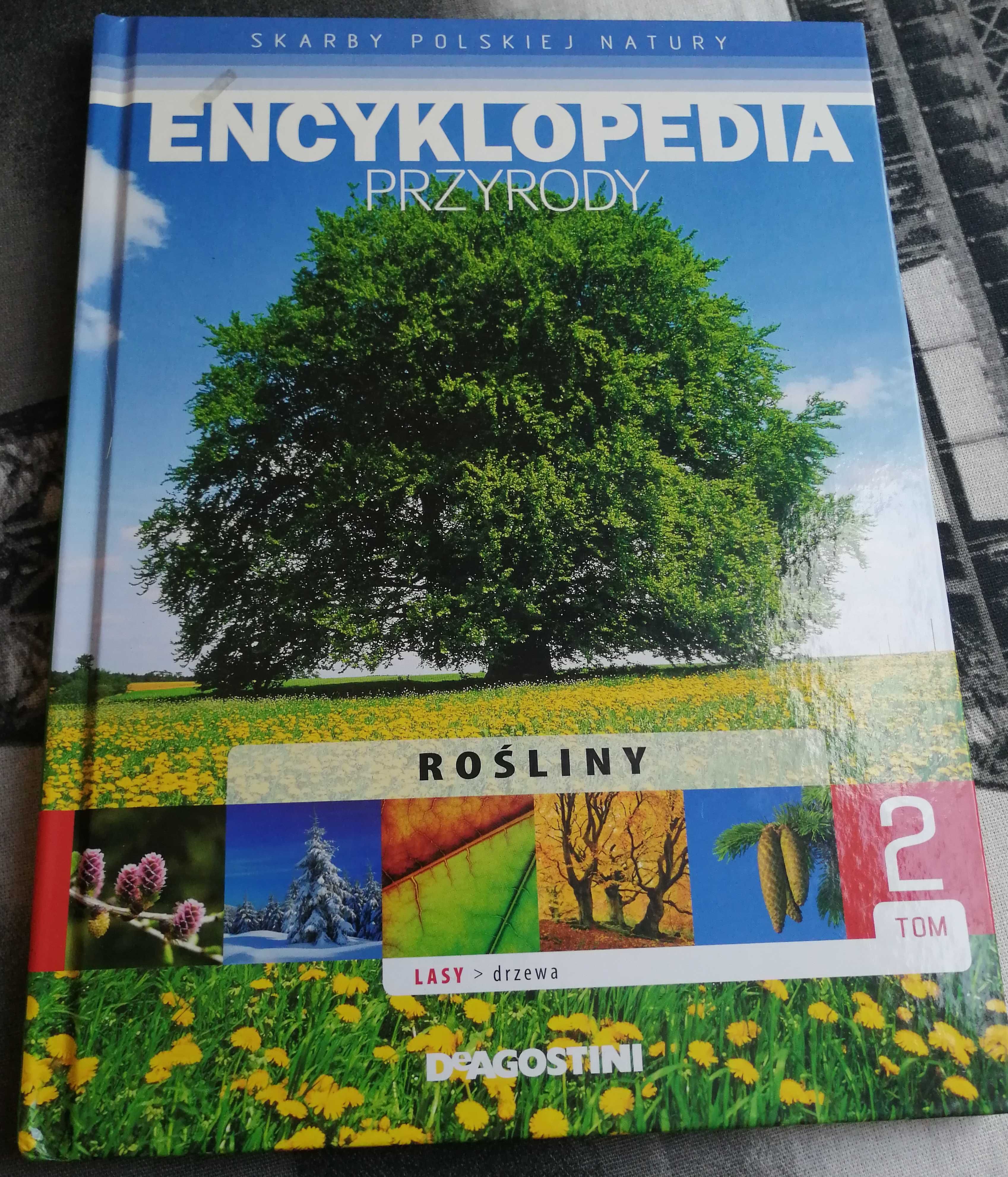 Encyklopedia przyrody - rośliny. Tom 2