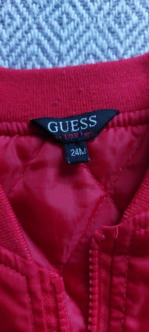 Kurteczka wiosenna Guess