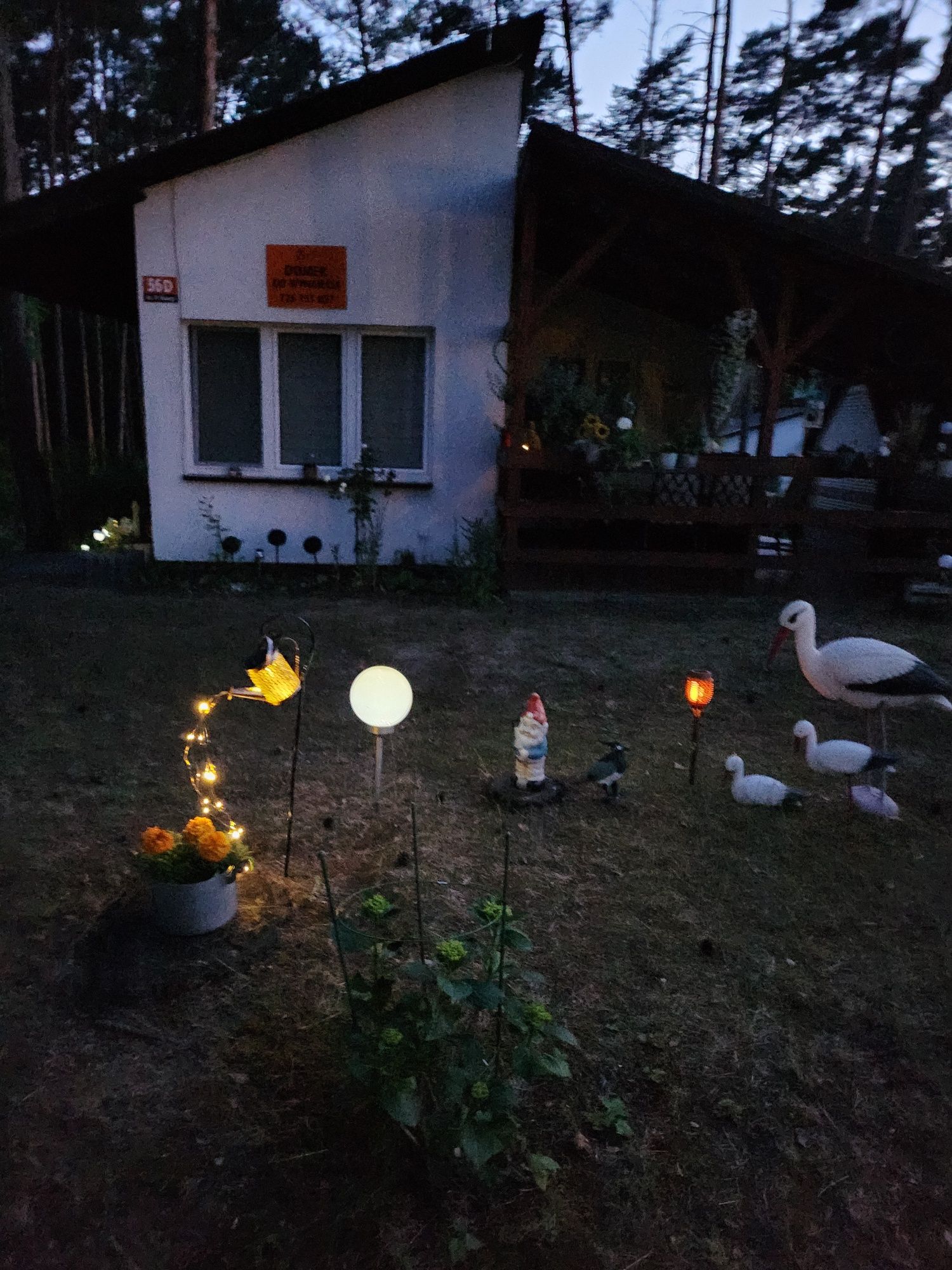 Domki letniskowe nad jeziorem Sarcz w Trzciance Wolne terminy