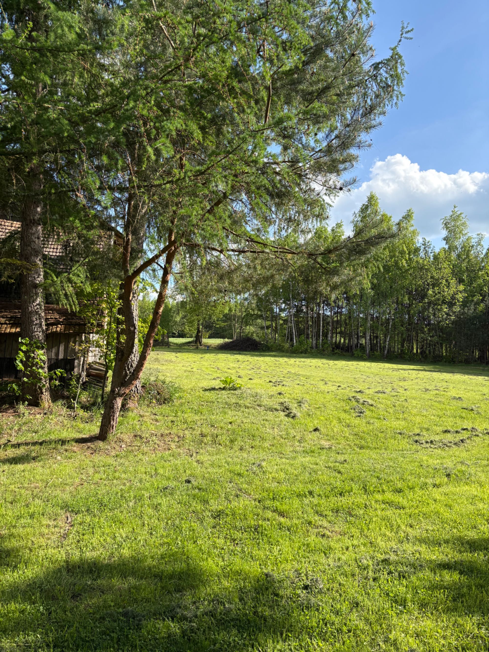 Dom do wynajęcia Bieszczady ,,Brzozowy Gaj”