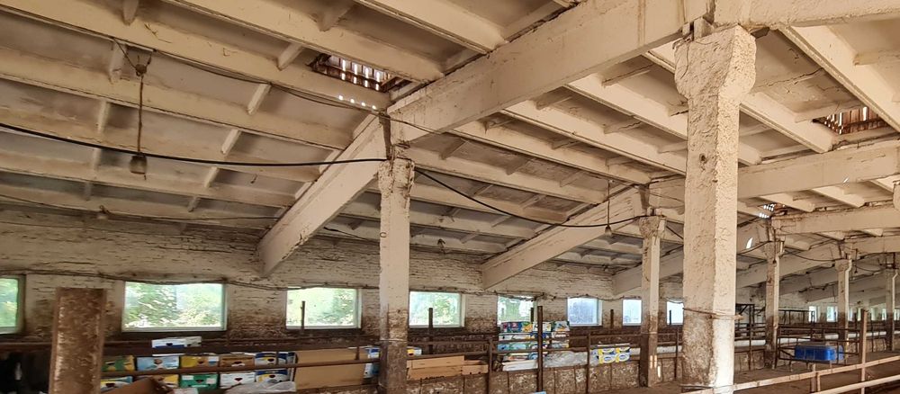 Продається ферма в  Новоодеському районі. Без комісії