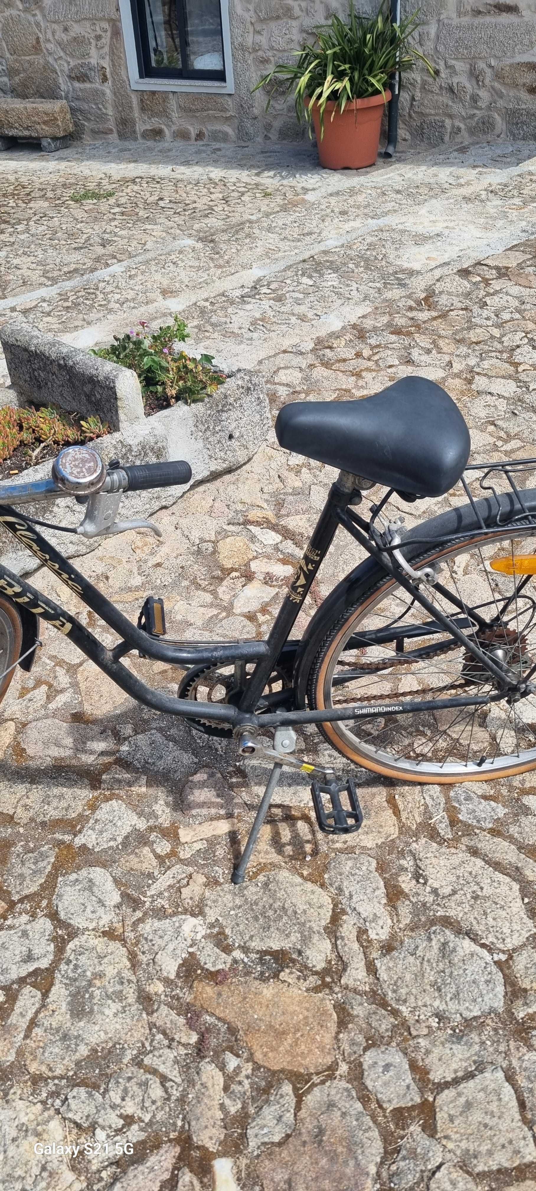 Bicicleta  pasteleira