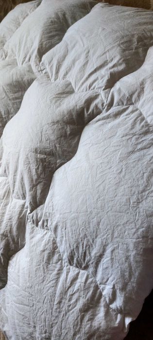 Швейцарська пухова ковдра DORBENA