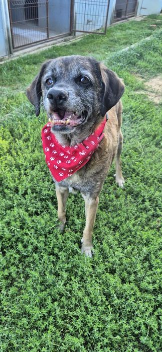 Wesoły chłopczyk szuka kochającego domu