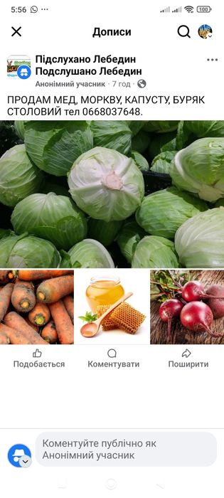 Продам, мед капусту, моркву, буряк столовий