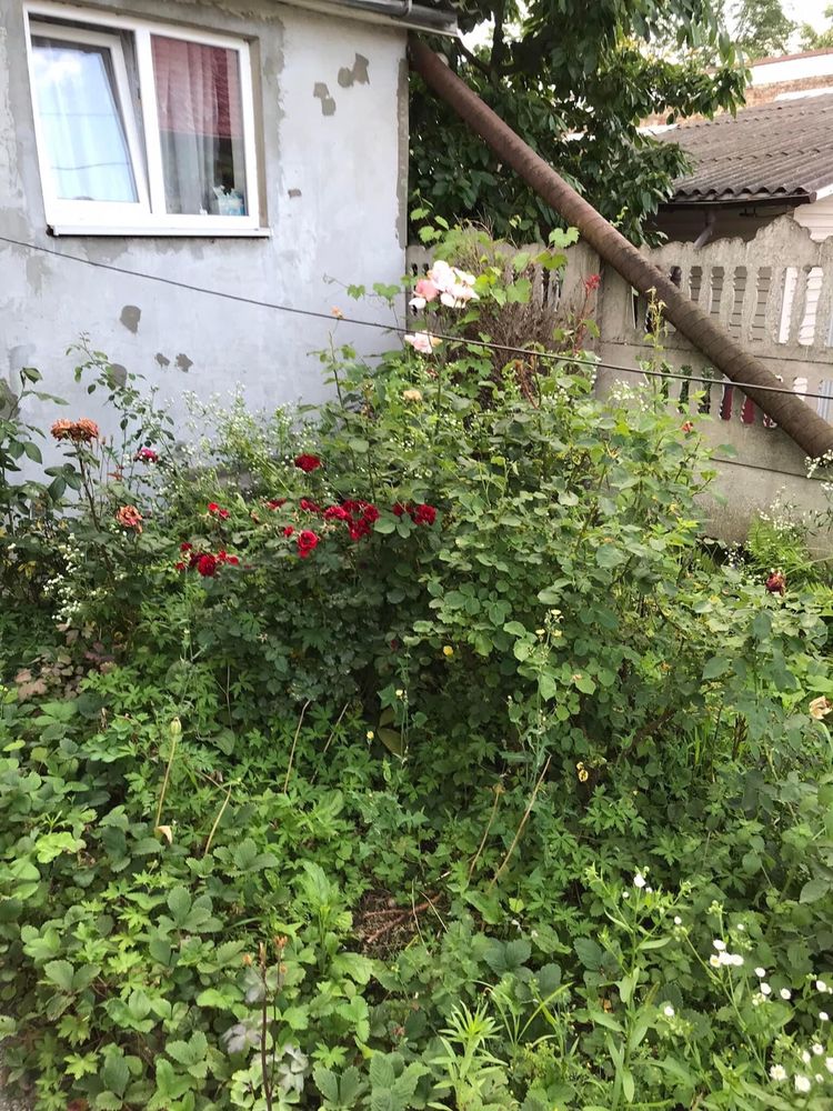 Продаю квартиру в Заліщиках