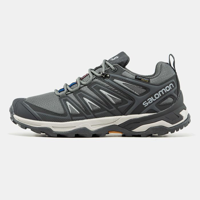 Кросівки Salomon Speed Cross Pro Gore-Tex Double Grey premium