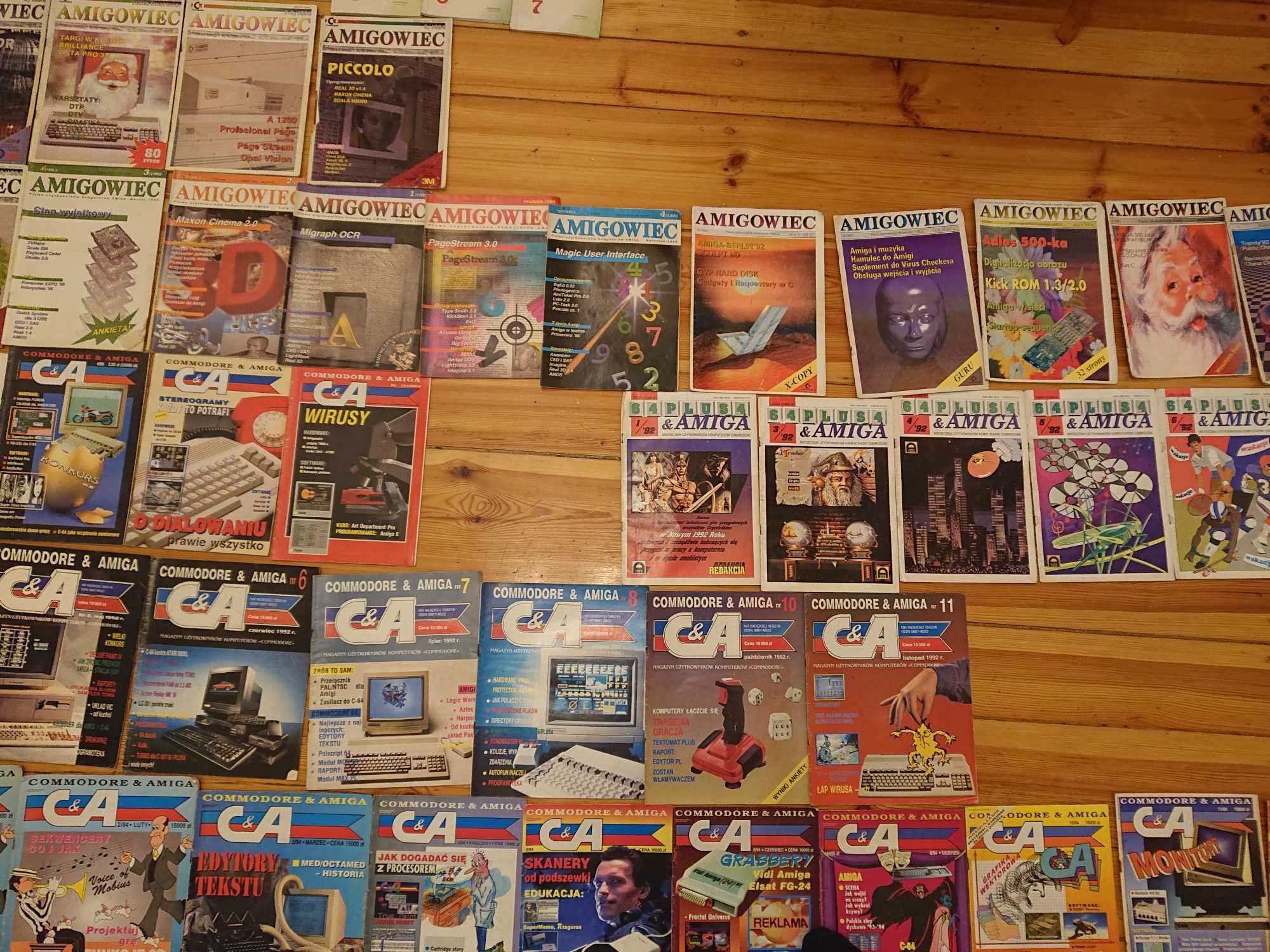 Amigowiec Bajtek