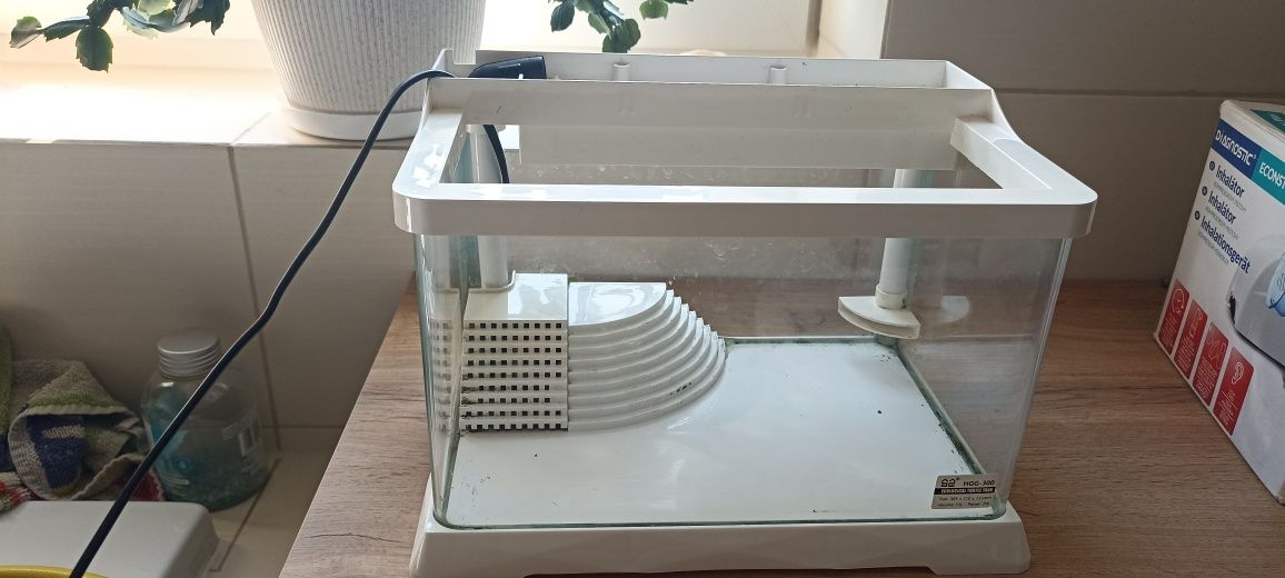 Terrarium akwarium dla żóło